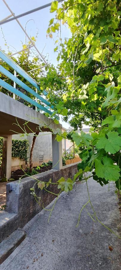 Villa Family House "Pansion Kvarner" à Punat Extérieur photo